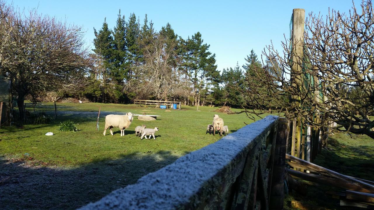 Woodbury Farm Acomodação com café da manhã Takanini Exterior foto