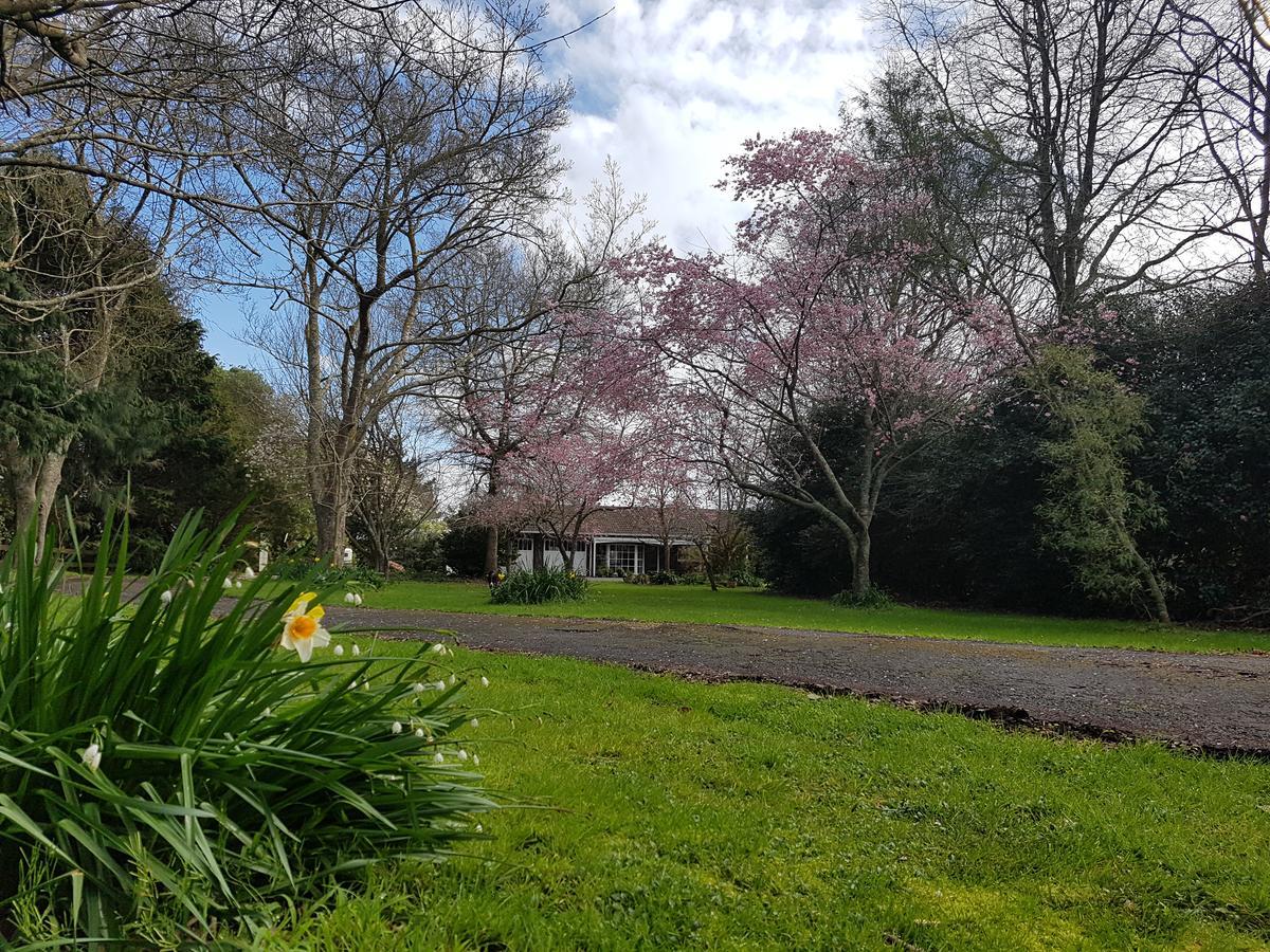 Woodbury Farm Acomodação com café da manhã Takanini Exterior foto